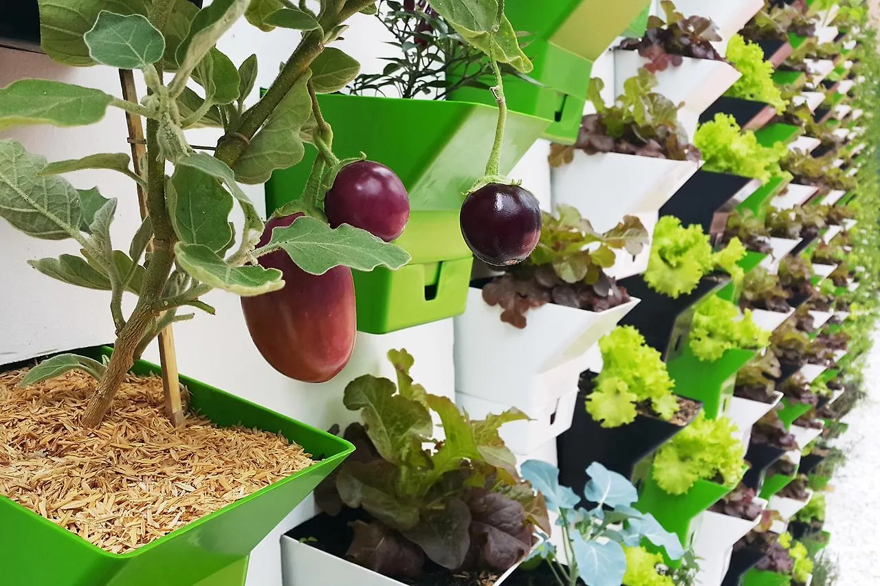 **** Hotel Biohotel Organic Suites Bogotá Colombia